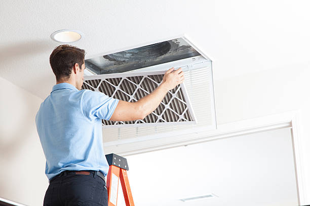 Best HVAC Installation Services  in Zellwood, FL